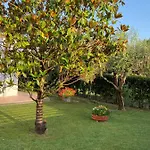 Apartment Il Trammino Pisa