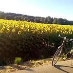 Il Trammino *